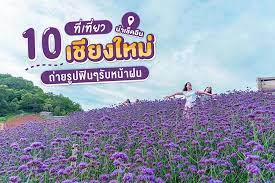 มาพร้อมสวนดอกไม้เมืองหนาว สวนสนฟีลเมืองนอก ไร่นาขั้นบันไดวิวทะเลหมอก อุโบสถสีเงินแห่งแรกของโลก เชียงใหม่. 10 à¸— à¹€à¸— à¸¢à¸§à¹€à¸Š à¸¢à¸‡à¹ƒà¸«à¸¡ à¸™ à¸²à¹€à¸Š à¸„à¸­ à¸™ à¸– à¸²à¸¢à¸£ à¸›à¸Ÿ à¸™à¹† à¸£ à¸šà¸«à¸™ à¸²à¸à¸™