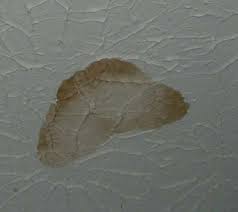 Chances are your ceiling covering is drywall, which will absorb or disperse the water. How To Cover Water Stain On Ceiling Doityourself Com Community Forums Water Stain On Ceiling Remove Water Stains Stained Ceiling