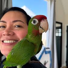 27 amazing happy years married to this wonderful woman. These are from  American Girl but tonight it's the Polo Lounge