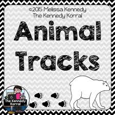 Free Yourself Up From Planning Arctic X2f Antarctic Animals Animal Tracks Anchor Chart Title Polar Bear Anchor Animal Tracks Antarctic Animals Polar Animals