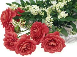 Be sure to take the quiz the carnation flower symbolizes a mothers enduring love, it is given in abundance on mother's day. Romantic Flowers Romantic Flowers