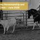 Basic Horsemanship & Cattle Working Clinic