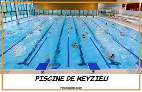 Piscine De Meyzieu En 2020 Piscine Piscine Rennes Piscine Hors Sol Acier