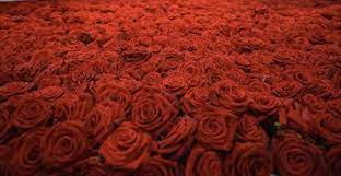 24 hour flowers los angeles. Royal Florist Los Angeles Flower Delivery 24 Hours Home Facebook