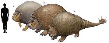 Prehistoric Taxonomy 1 Panochthus Frenzelianus 1866 Prehistoric Animals Ancient Animals Prehistoric