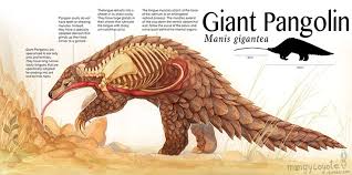 1 special weapon effects 2 strategy 3 notes. Samstag 20 Februar 2016 World Pangolin Day Meertext