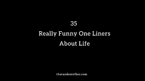 Whoever said that clean jokes can't be funny couldn't be more wrong. 35 Really Funny One Liners About Life The Random Vibez