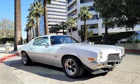 Image result for Silver Fern 1971 GM