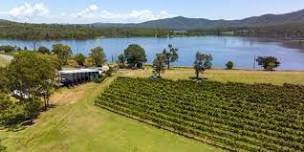 Long Lunch by the Vineyard