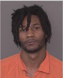 Attached is a media release in reference to a deadly shooting that took  place