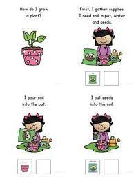 The size of the pot. How To Grow A Plant A Social Story Adapted Book For Students With Autism