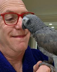 Just a pirate and her parrot !!!