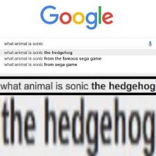 People Who Use Google All The Time In A Shellnut Google Know Your Meme