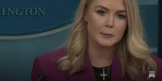 Trump WH Called 'Incompetent' after Karoline Leavitt Blames Amazon for  Showing Tariff Costs