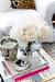Floor Vase Flower Arrangements