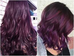 I have been obsessed with purple hair for a while now. Deep Purple Hair Color