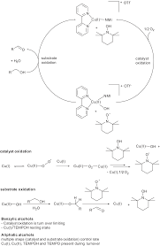 chapter 1 homogeneous heterogeneous and nanocatalysis rsc