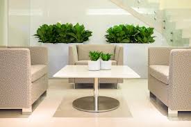 Here are three tips for incorporating scented plants in a landscape: 25 Awe Office Plants Interior Design Ideas 13 Is Damn Beautiful