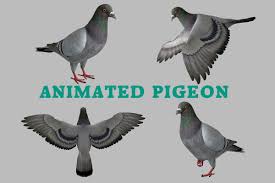 Realistic Animated Rock Pigeon Low Poly 3d Model Characters Unity Asset Store In 2020 Low Poly 3d Models Animation Low Poly 3d