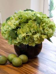 The sepals are naturally green and as they age the pigments of white, pink, or blue will overpower the green which is what causes your hydrangea blossom to change colours and eventually fade to green with time. 25 Best Green Silk Hydrangea Ideas Hydrangea Silk Hydrangeas Green Silk
