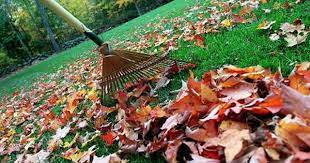 Pin On Garden