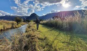 Image result for Scolopia mundii