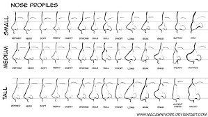 Senshistock Drawing References Nose Types Nose Drawing