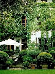 Ivy Clad Growing Boxwood In Containers Garten Gartengestaltung Garten Grundriss
