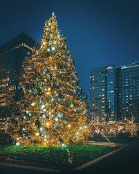 The front shop, the back these days there are more than 80 locations, many named christmas tree shops and that! Boston Holiday Lights Trail View The 2020 Schedule