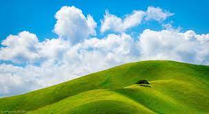 New Post Sign In Sign Up Next Post Doesn T This Look Like Bliss The Windows Xp De Backgrounds Desktop Places In California Cute Wallpaper Backgrounds