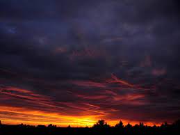 Sky background clouds sky background hd background blue sky blur sunset pixabay. Sunset Sky Clouds Trees Dark Night Night Landscape Background Toppng