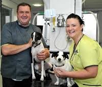 Your local emergency vet doncaster has been serving pet owners since 2010. The Pet Vet In Doncaster Dn4 0rd