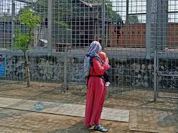We did not find results for: Ada Hiu Di Central Park Zoo And Resort Medan Pancur Batu