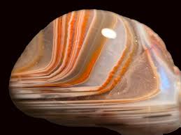 Image result for Agate Red Brown 1956 Wayne Works