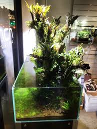 8e538821c7e11e746a5d1332416c3048 Jpg 720 960 Aquarium Design Aquascape Aquarium Nature Aquarium