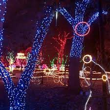 Activityhero partners with high quality childrens' activity providers and local business owners in bakersfield. The Top 10 Things To Do In Bakersfield With Kids Family Friendly Activities In Bakersfield Ca Tripadvisor