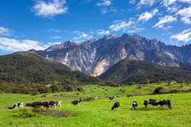 6 tempat menarik di kundasang (ranau). Inilah 25 Tempat Menarik Untuk Anda Kunjungi Di Kundasang Dan Ranau Sabah
