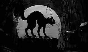 Cat Gif Find Share On Giphy Cat Dark Vintage Horror Black Cat