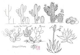 Zentangles Cactus Buscar Con Google Desert Drawing Cactus Drawing Cactus Illustration