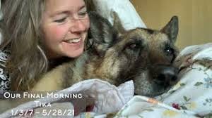 Our Final Morning Together -Tika's Departure Date to Rainbow Bridge