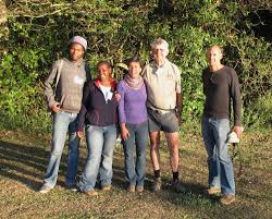 Image result for Psammotropha myriantha