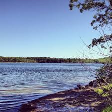 Find out information about margaret lewis norrie state park. Thompsons Lake Campground At Thacher State Park Ny State Parks Campground Camping Reservations