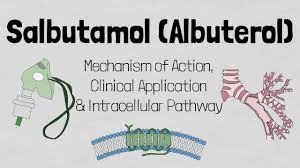 We did not find results for: Salbutamol Albuterol Mechanism Of Action Youtube