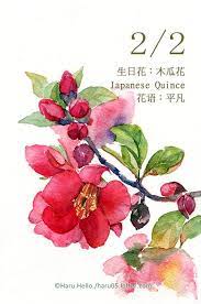 每日一花2 2 生日花 木 haru hello floral watercolor flower art flower painting