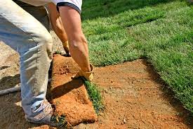 Use These Tips For Laying Sod To Start A New Lawn How To Lay Sod Sod Grass Pallet Of Sod