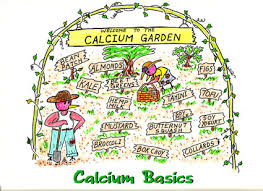 Vegetarians In Paradise Calcium Basics Charts Vegan