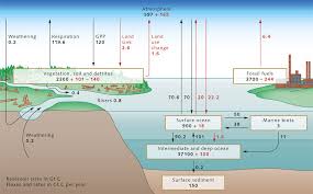 co reservoir  world ocean review