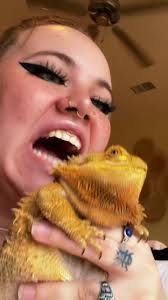 Scented Candle Same Room As Bearded Dragon