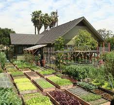 Meet The Family Growing 6 000 Pounds Of Food A Year In Their L A Backyard Vegetable Garden Design Permaculture Gardening Garden Layout