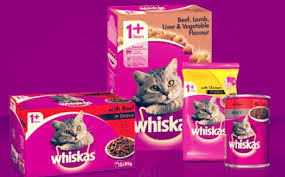 Kucing, seperti anggora, persia, british short hair, dan sebagainya, merupakan peliharaan favorit banyak orang. Makanan Anak Kucing Umur 1 Bulan Yang Menyehatkan Hobinatang